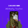 SMS Marketing transactional 300000 MMS