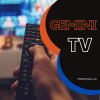 GEMINI TV300 x 300 px